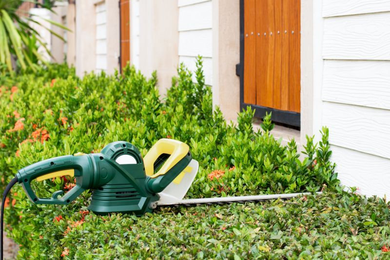 Increase Your Holly Bushes Trimming Business with an AI Driven, Targeted Website