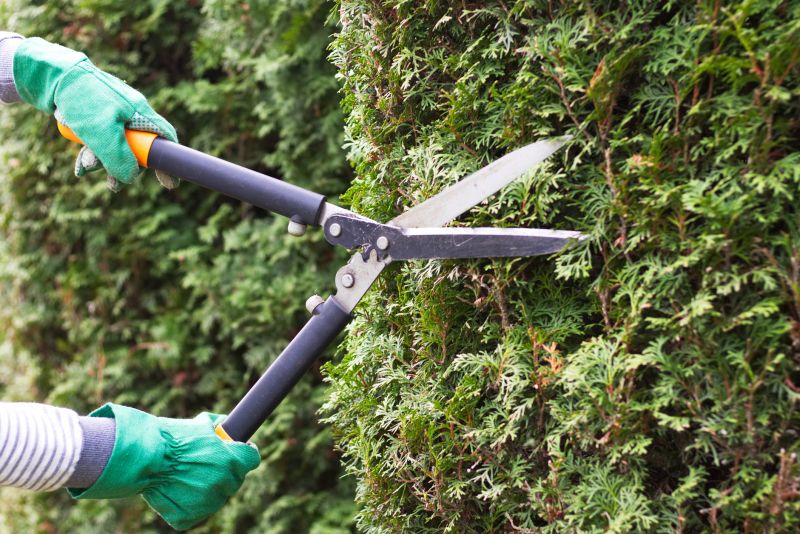 Holly Bush Maintenance Tools