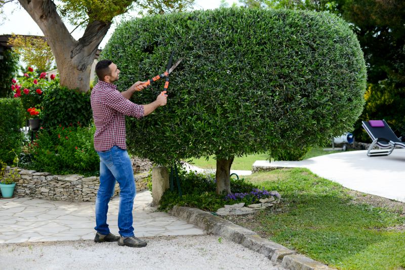 Seasonal Pruning